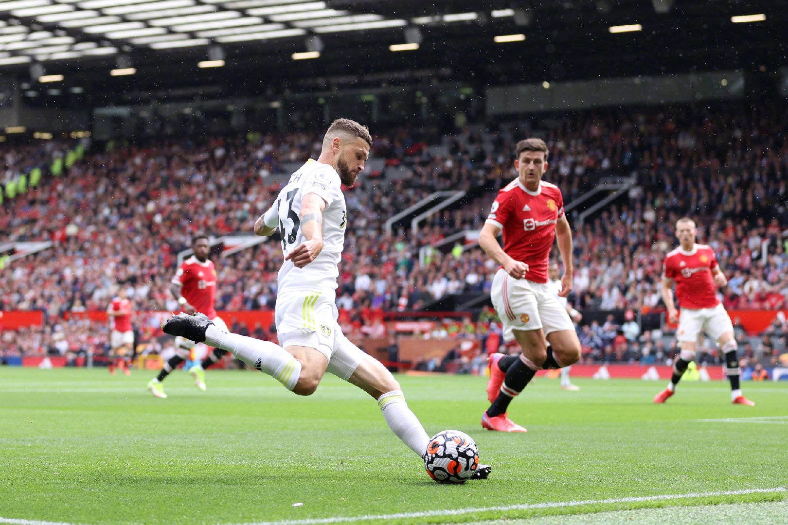 已经正式向 已经正式向